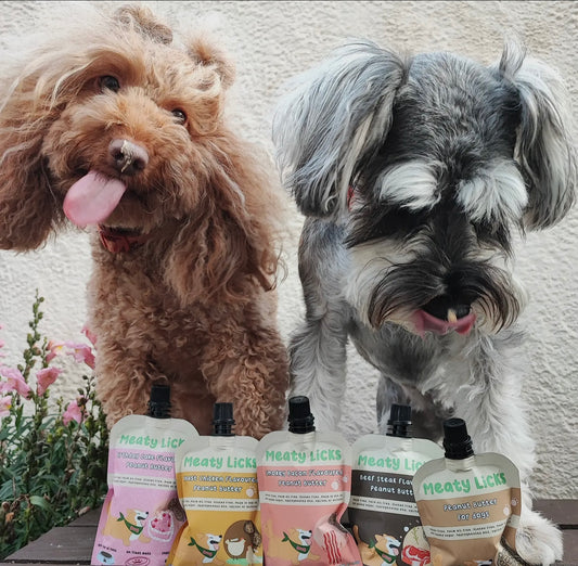 Friandises chien - pochette de beurre de cacahuète saveur gâteau d'anniversaire