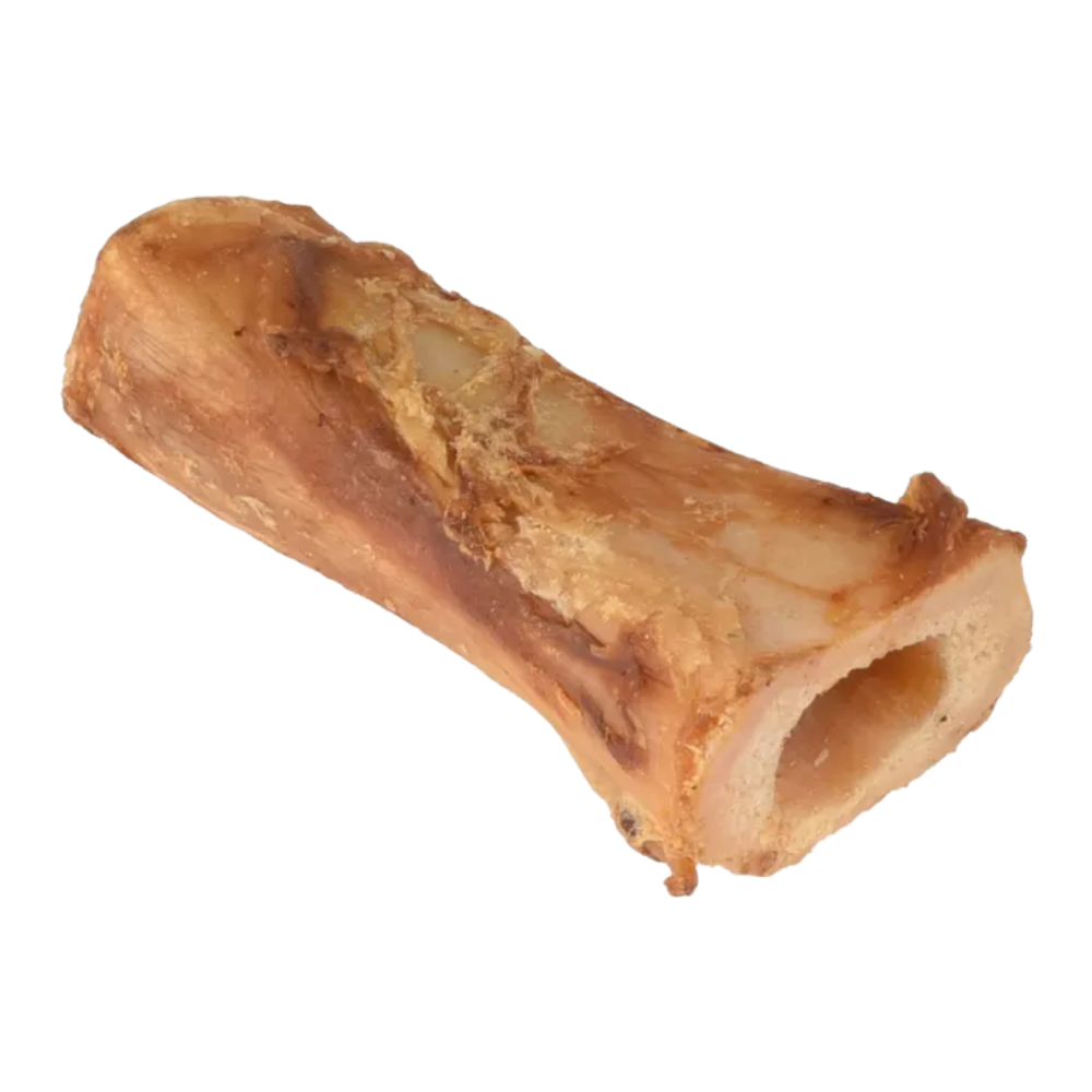 TIBIA OS