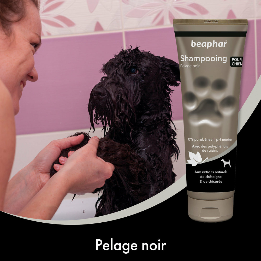 SHAMPOOING PELACHE NOIR