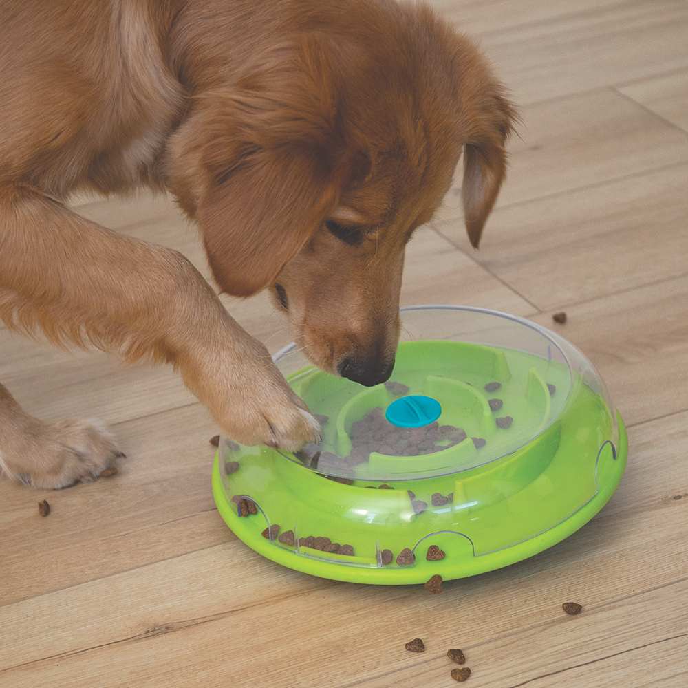 JEU D'INTELLIGENCE - WOBBLE BALL - NIVEAU 1