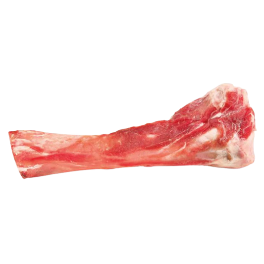 Friandises chien os de tibia de cochon emballés 200g
