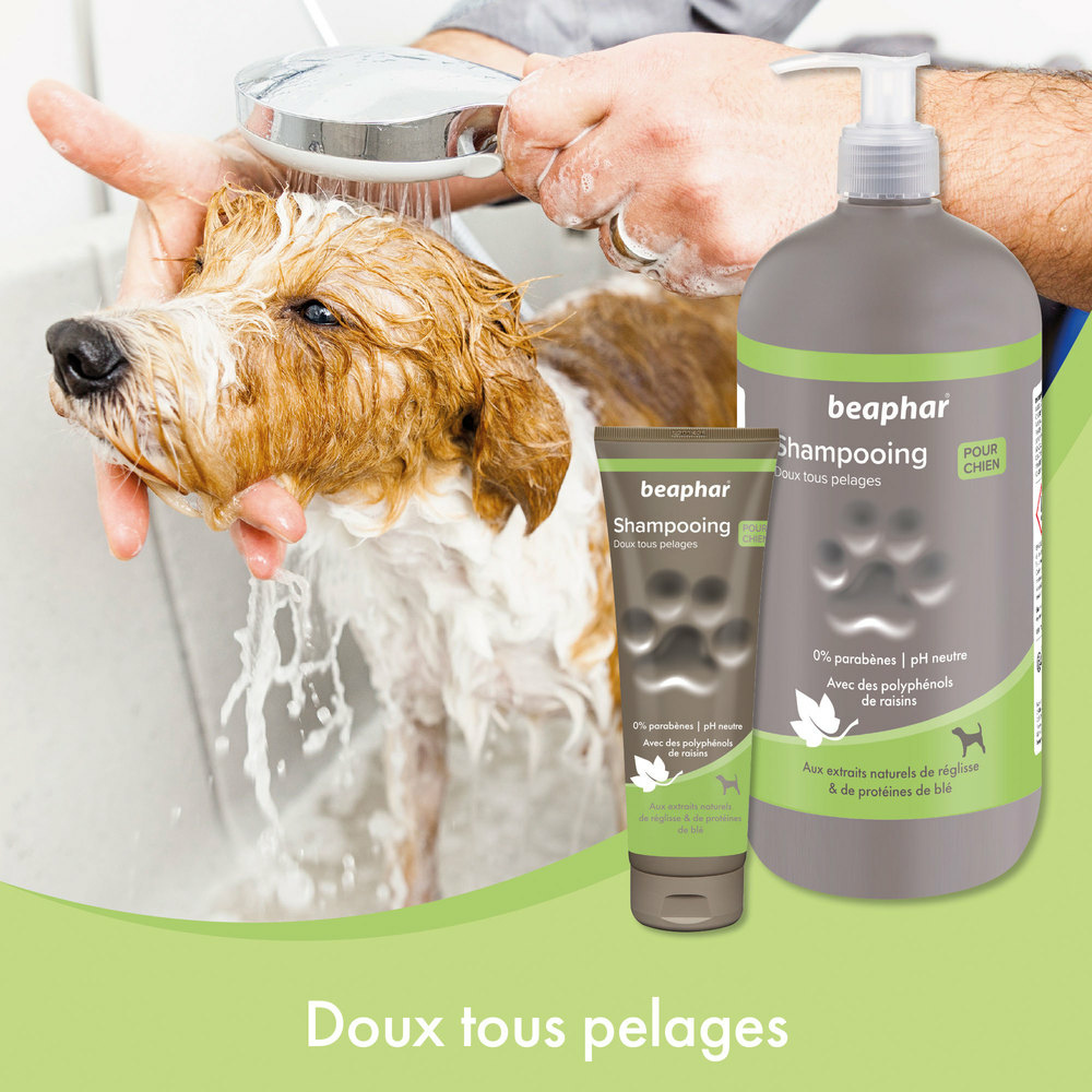 SHAMPOOING DOUX TOUS PELAGE