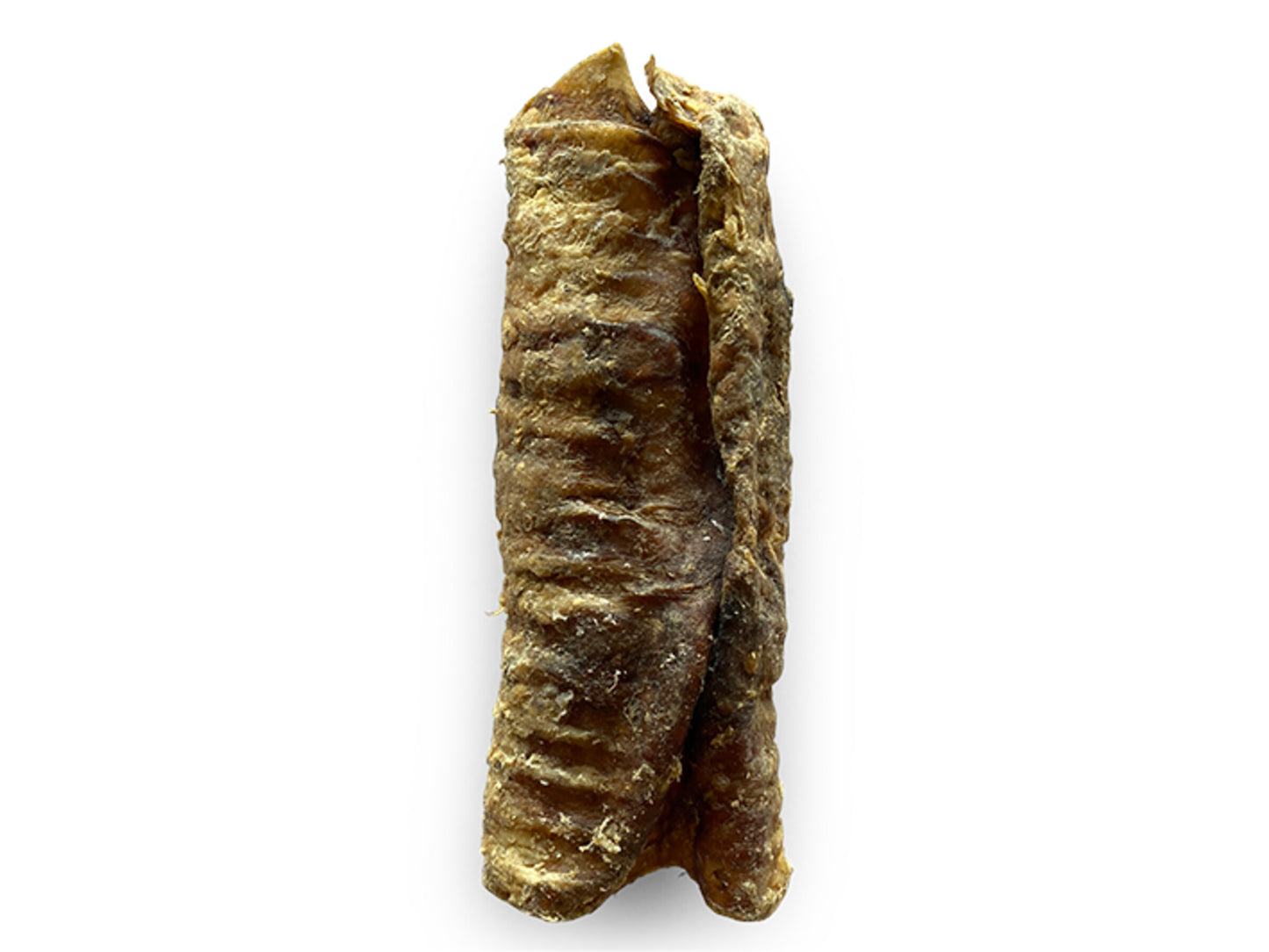 Trachée de boeuf