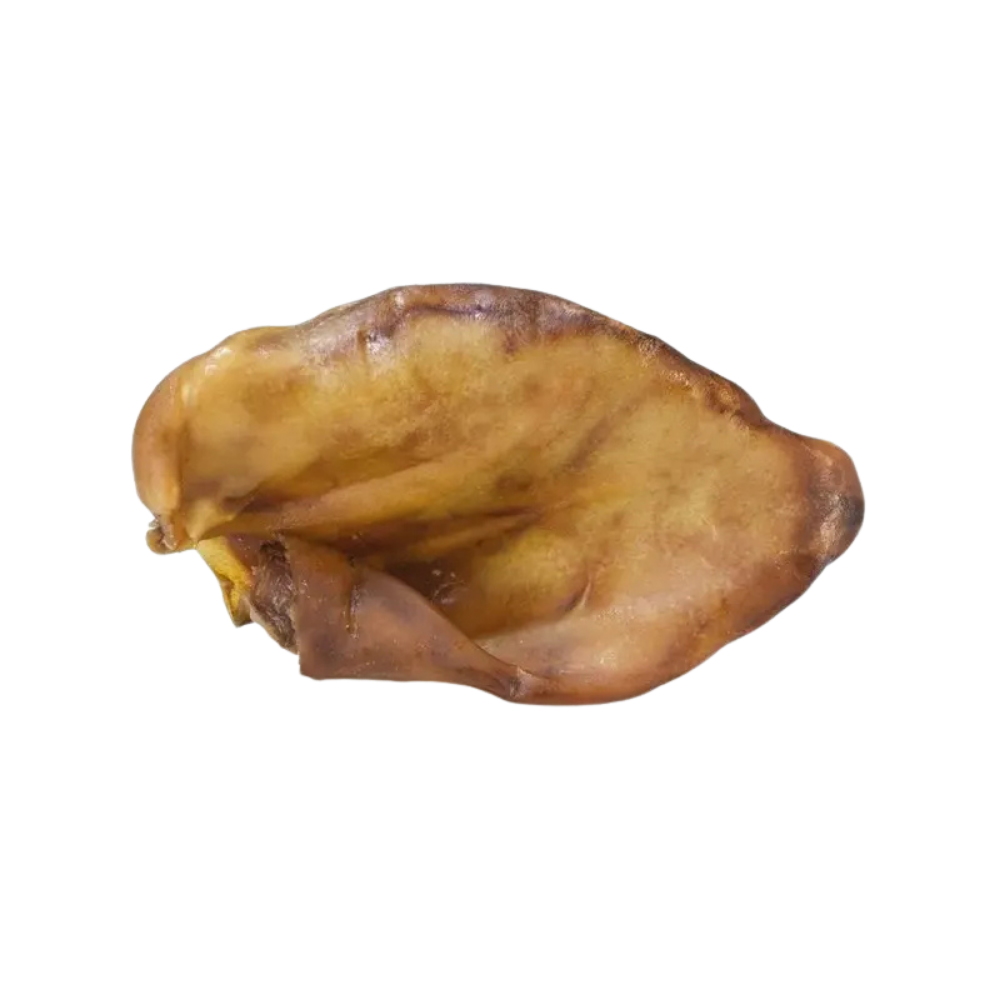 OREILLE DE PORC - À L’UNITÉ