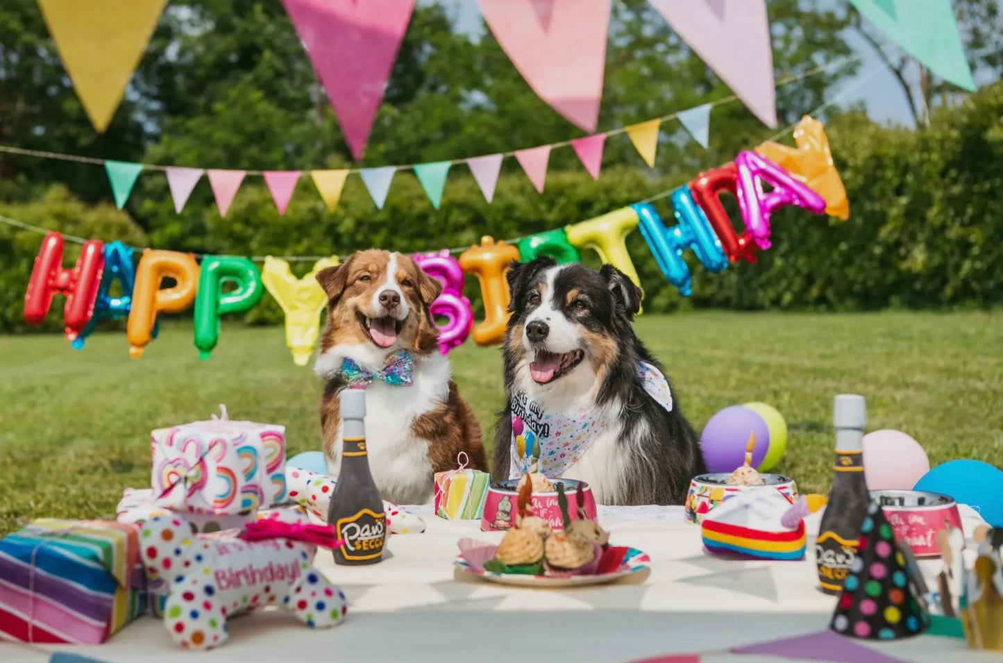 Snack pour chien - Bougies de fête 4 pcs