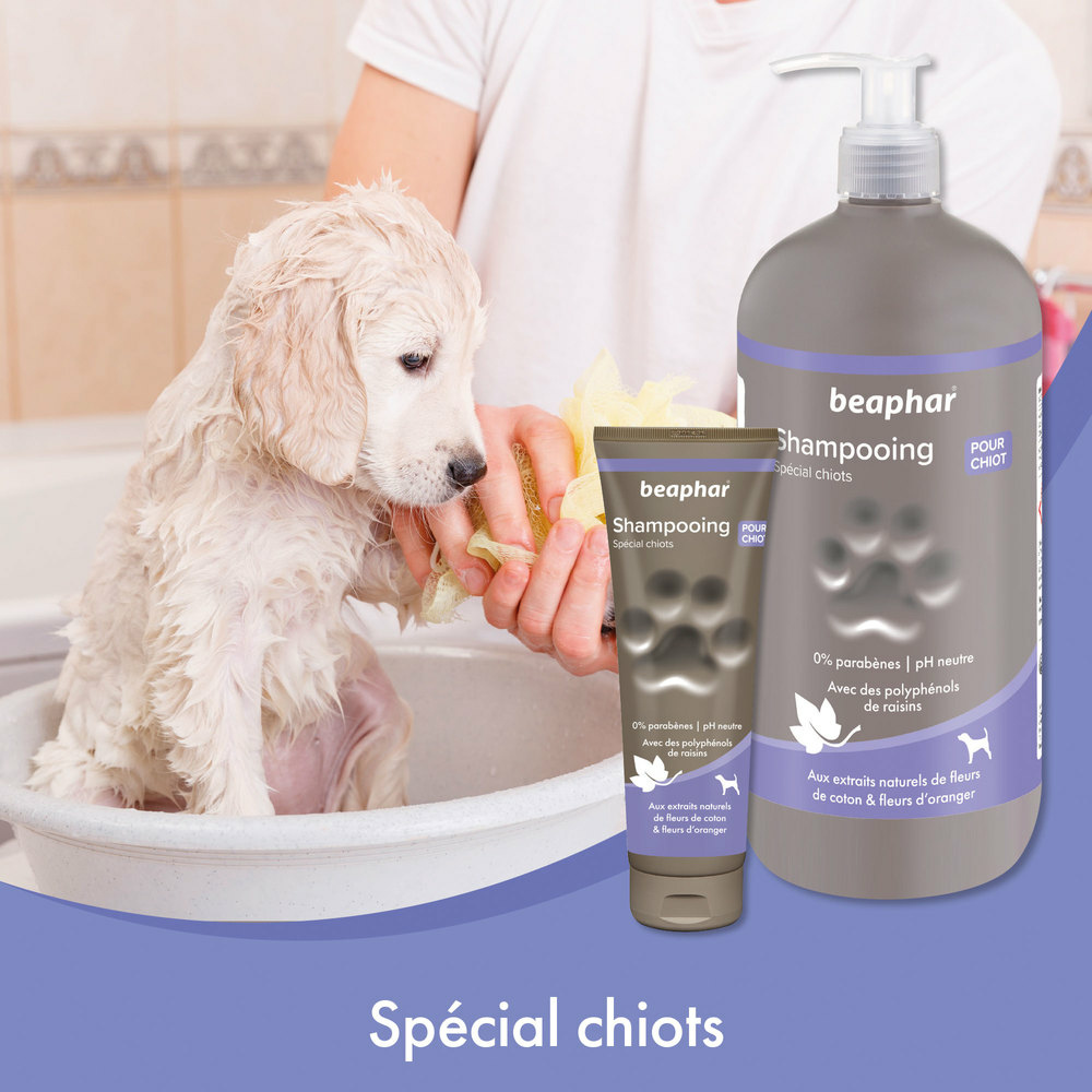 SHAMPOOING CHIOT