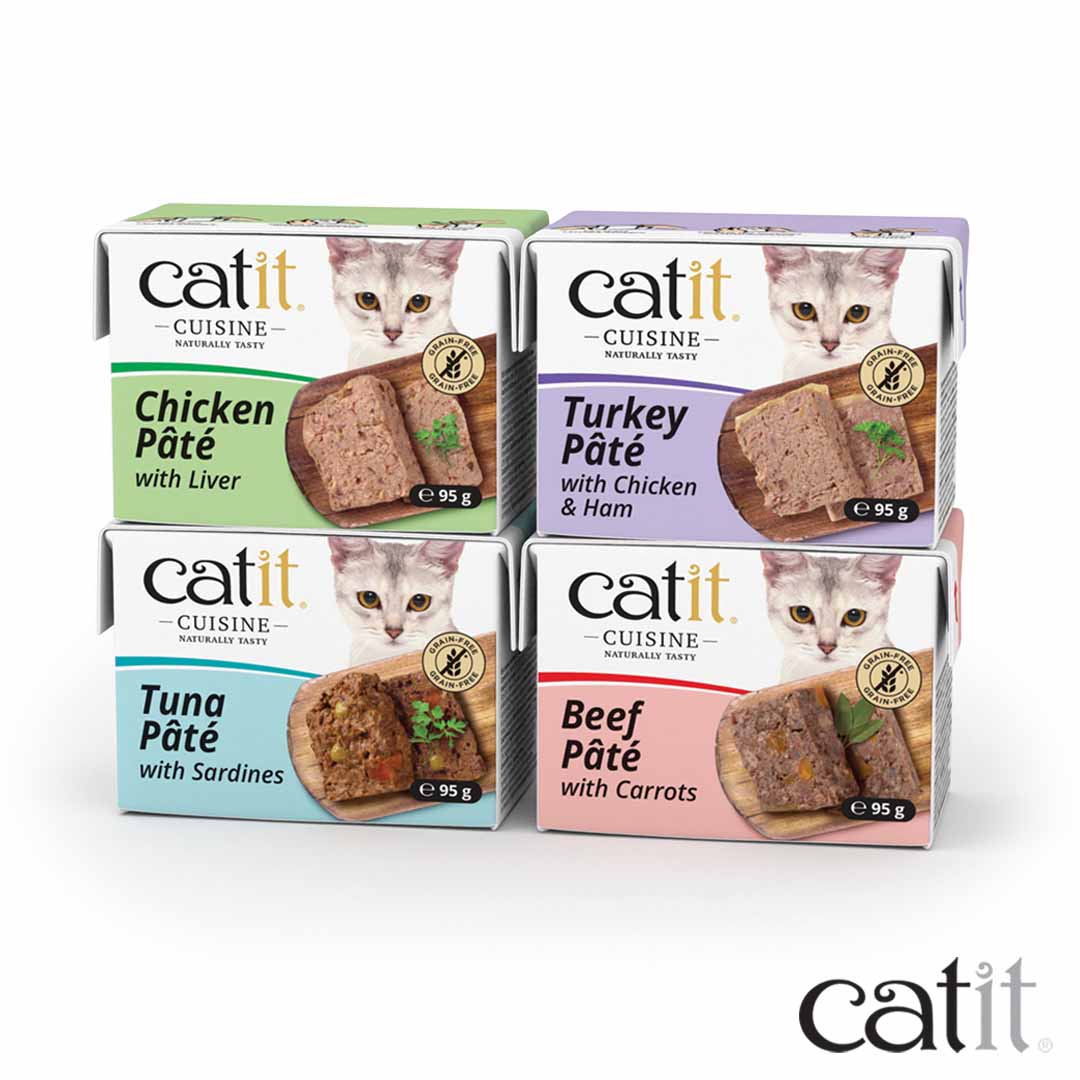 Pâtée chat - cuisine boeuf & carottes