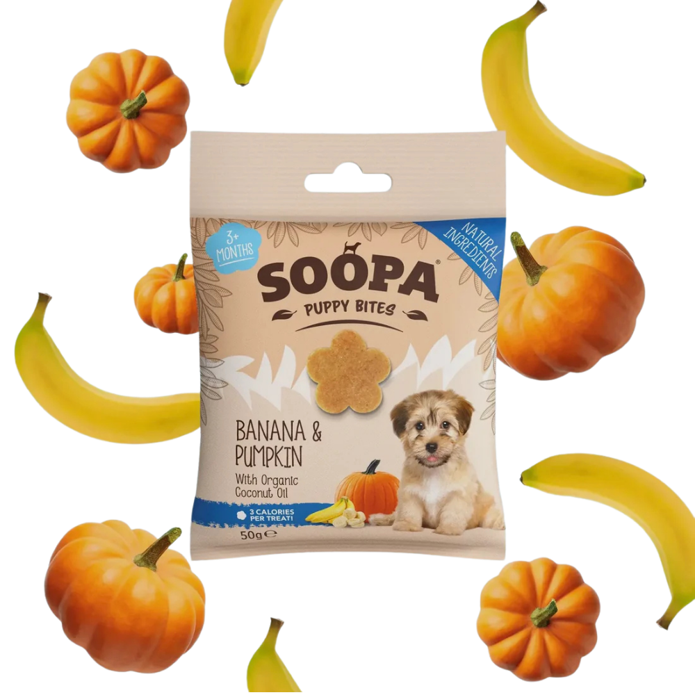 Friandises chien - chiots banane & citrouille