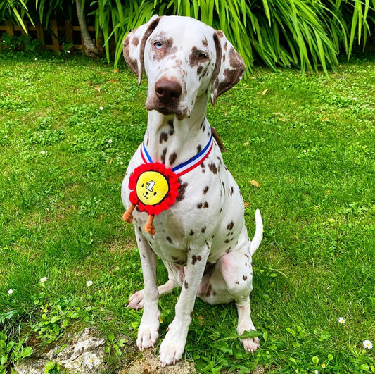 Jouet - peluche médaille