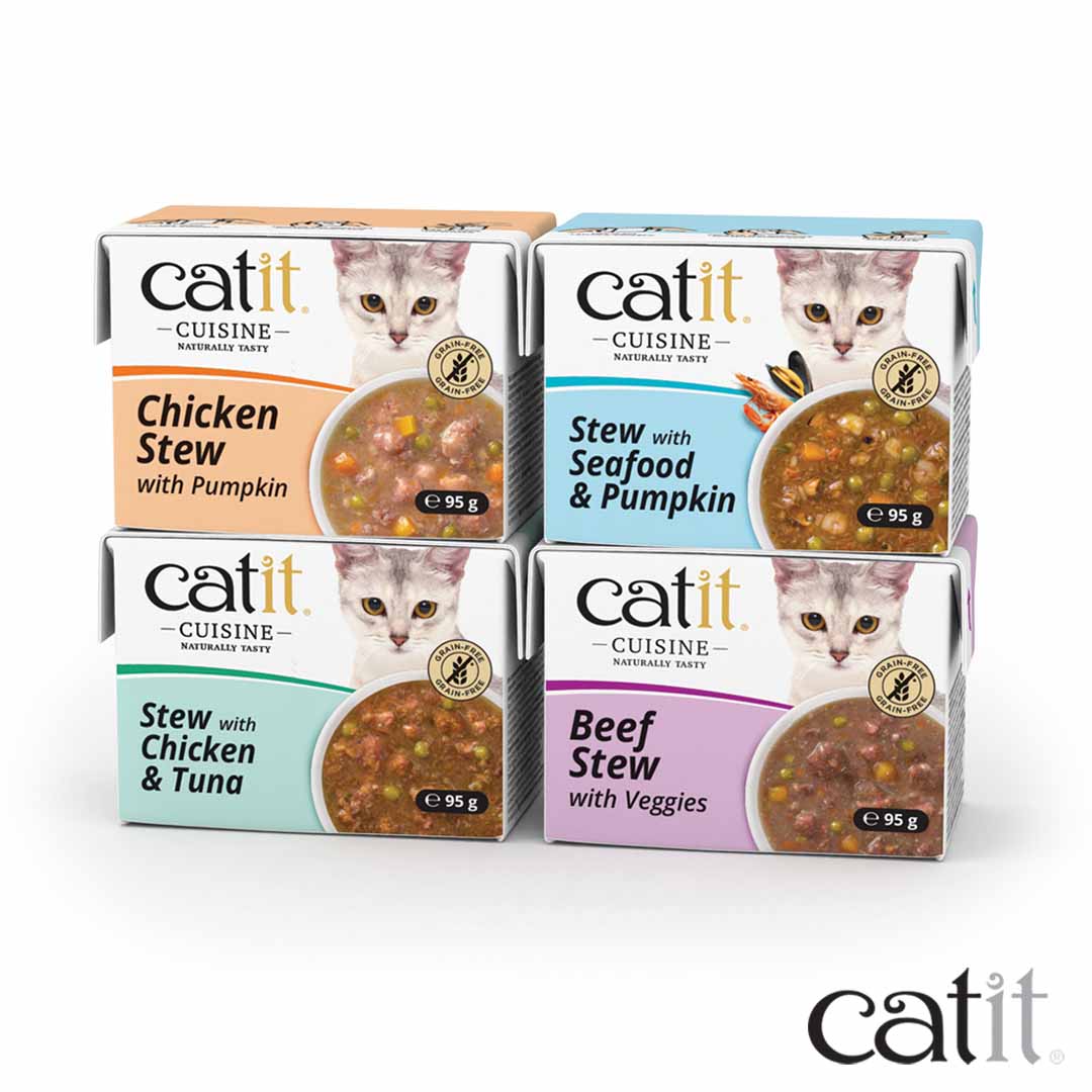 Pâtée chat - cuisine potiron aux fruits de mer