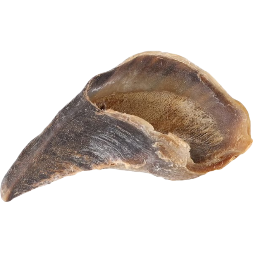 SABOT DE VEAU - À L’UNITÉ