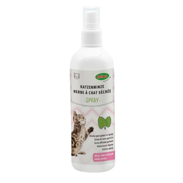 Herbe à chat - Spray