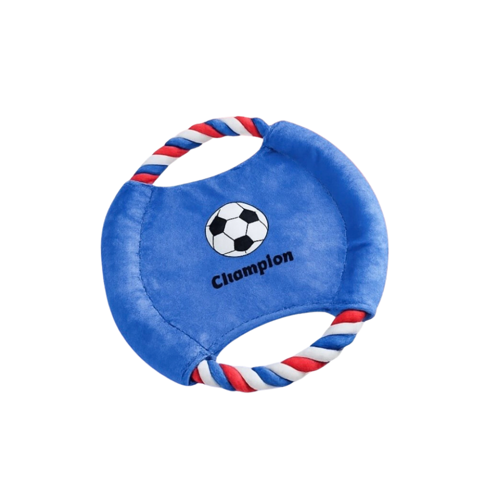 FRISBEE - ALLER LES BLEUS