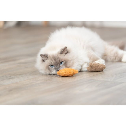 Jouet chat - Ours 🐻