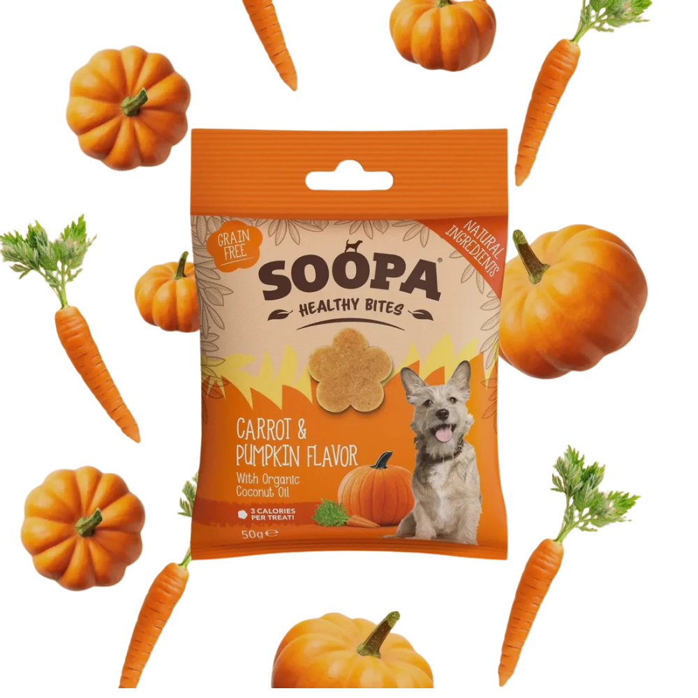 Friandises chien - Soopa