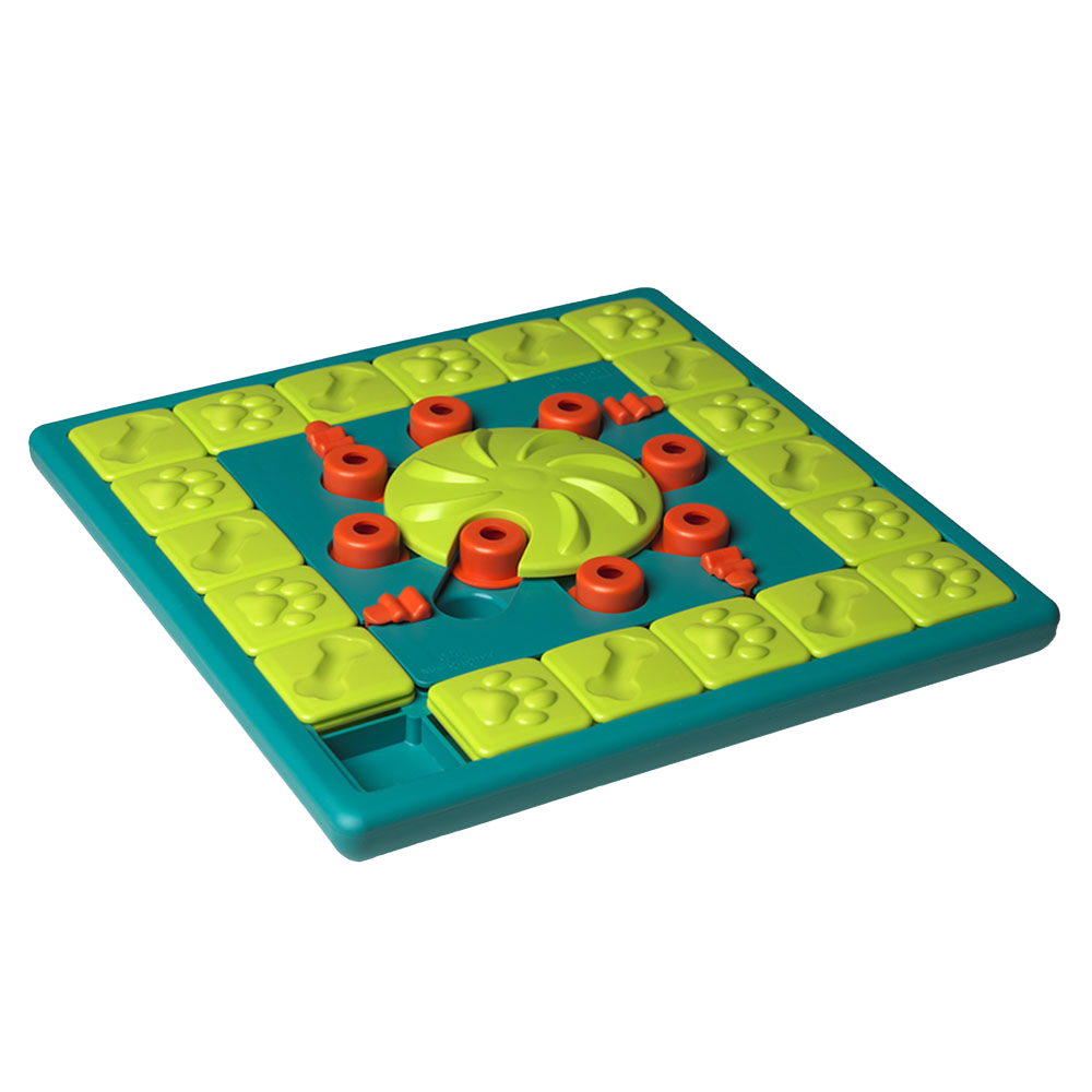 JOUET D'INTELLIGENCE - MULTIPUZZLE - NIVEAU 4
