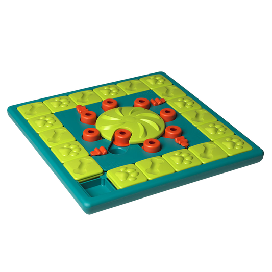 JOUET D'INTELLIGENCE - MULTIPUZZLE - NIVEAU 4
