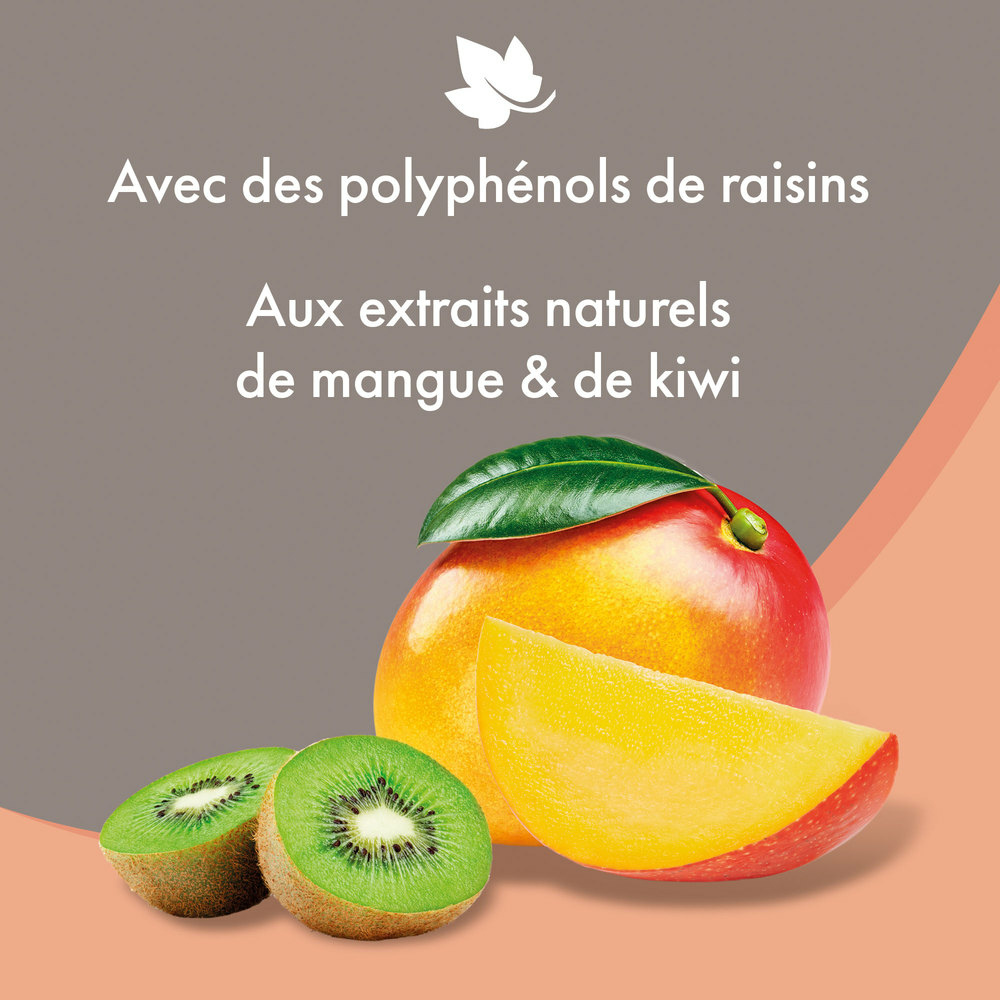SHAMPOOING ECLAT DU PELACHE