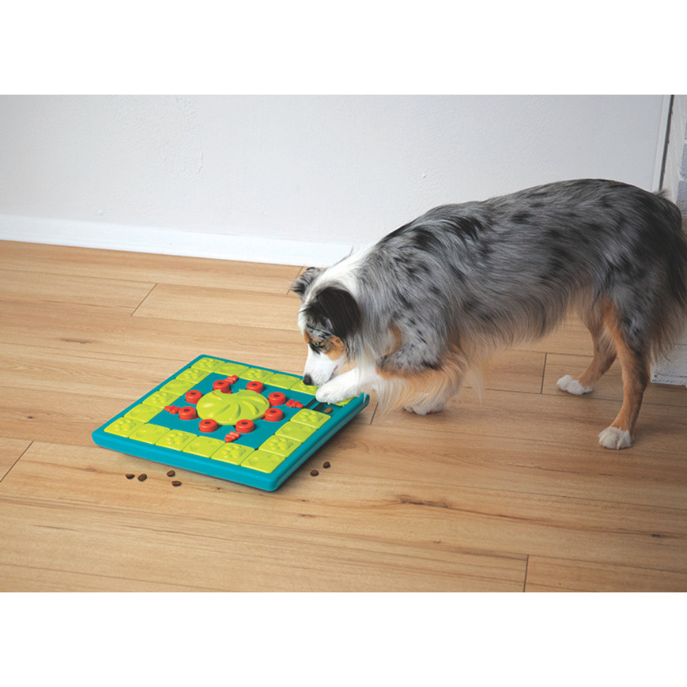 JOUET D'INTELLIGENCE - MULTIPUZZLE - NIVEAU 4