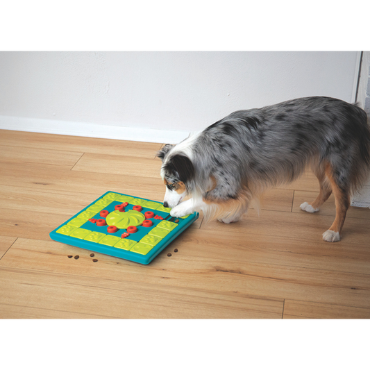 JOUET D'INTELLIGENCE - MULTIPUZZLE - NIVEAU 4