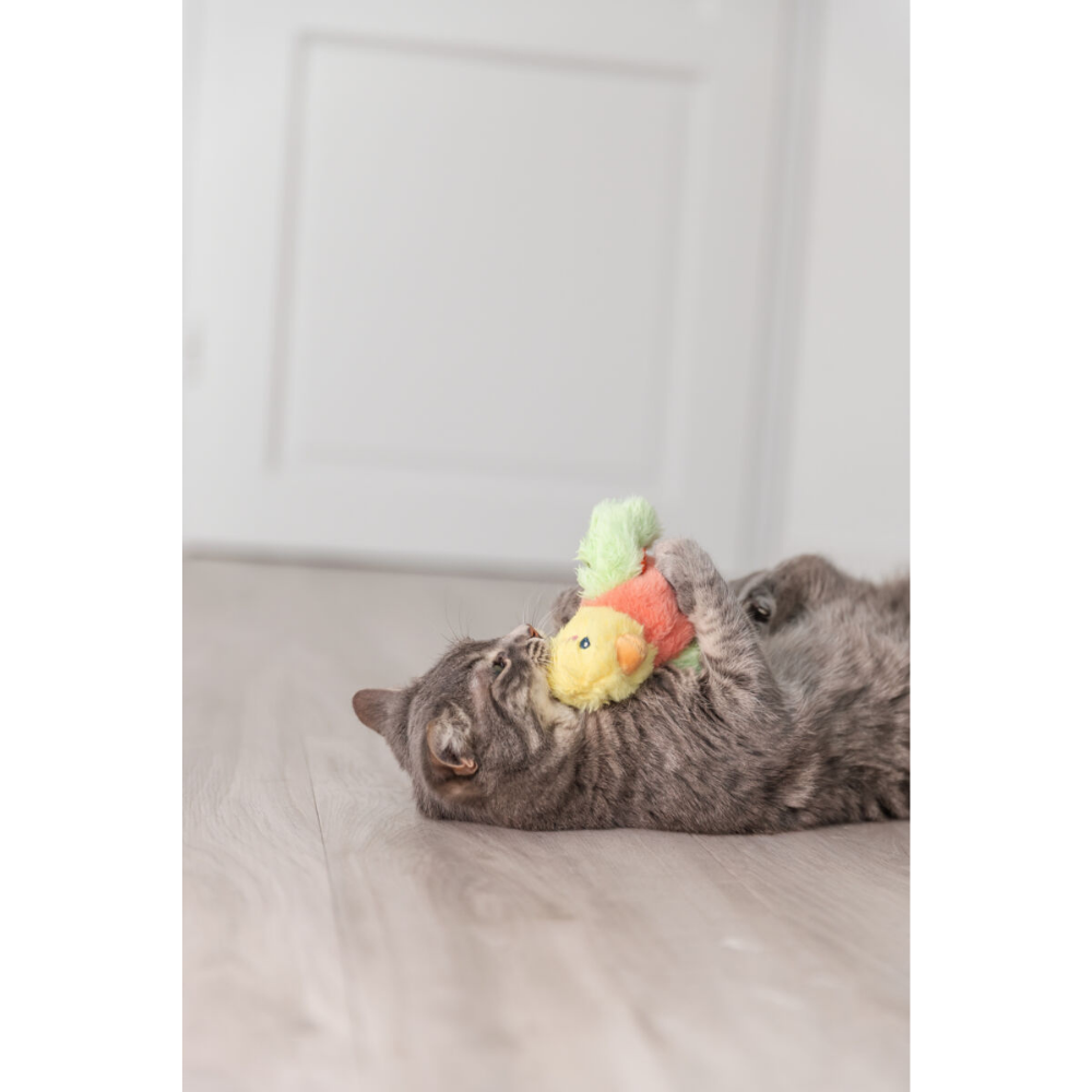 OISEAU FRÉTILLANT