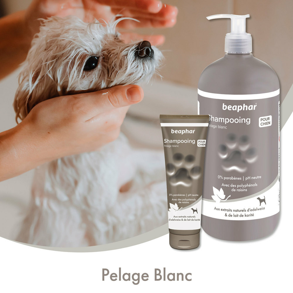 SHAMPOOING PELACHE BLANC