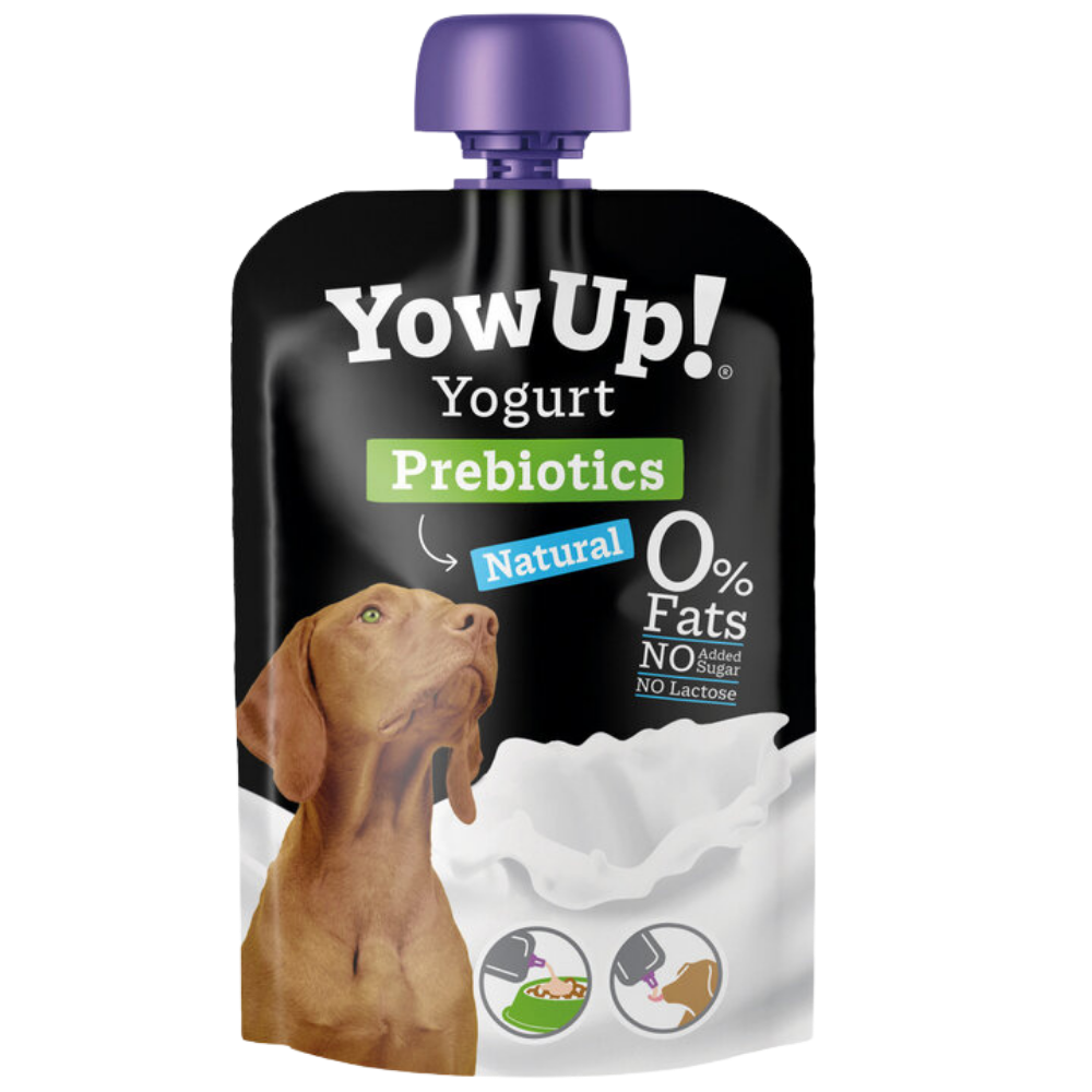 YOGHOURT