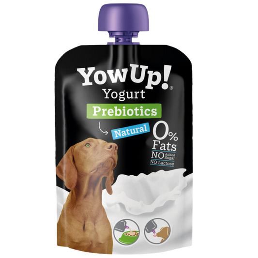 YOGHOURT