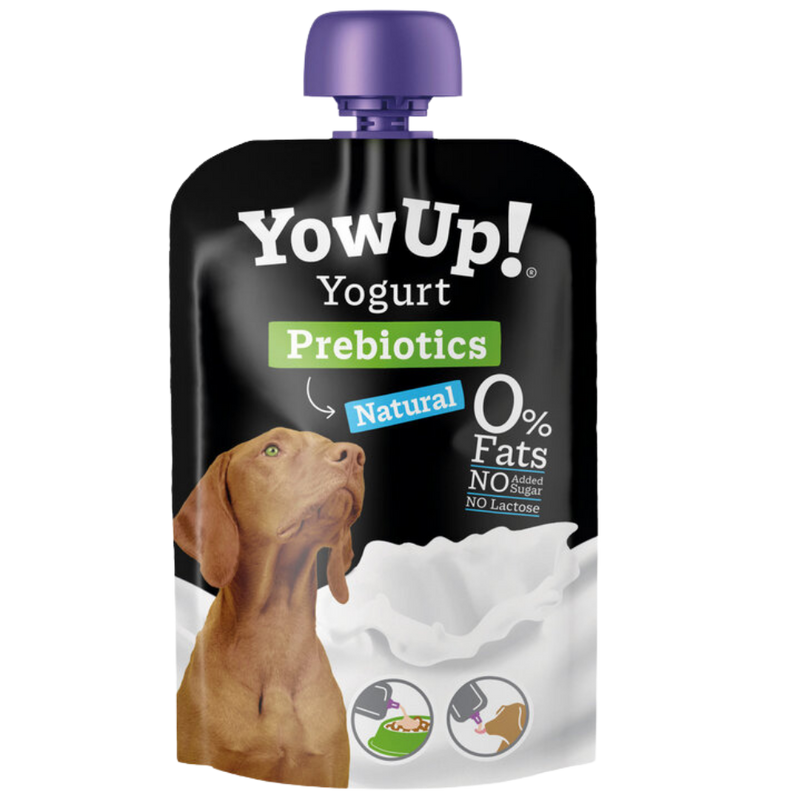YOGHOURT