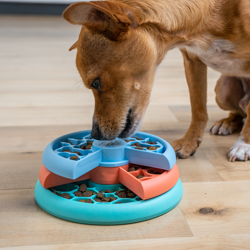 DISTRIBUTEUR INTERACTIF - CHIOT LICKIN' LAYERS - NIVEAU 2