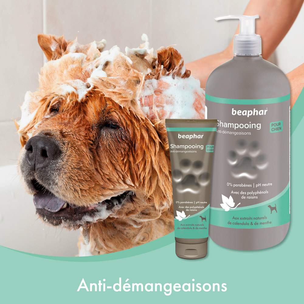 SHAMPOOING ANTI-DEMANGEAISONS