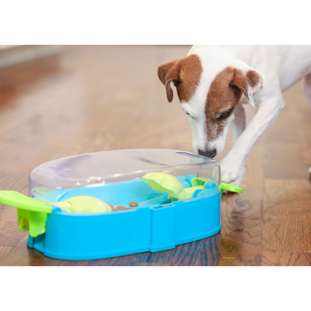 JEU D'INTELLIGENCE - PAW N'PLAY - NIVEAU 2