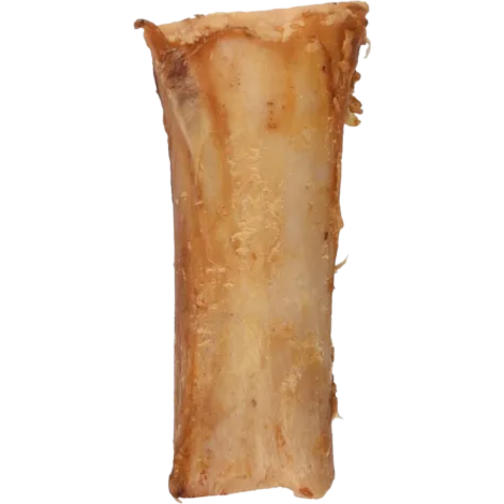 TIBIA OS