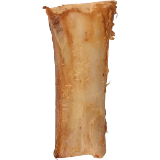 TIBIA OS