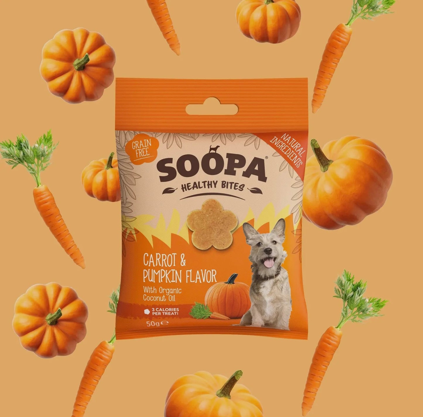 Friandises chien - carotte & citrouille