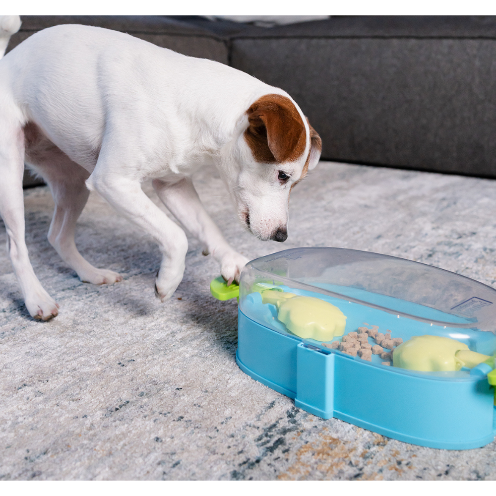 JEU D'INTELLIGENCE - PAW N'PLAY - NIVEAU 2