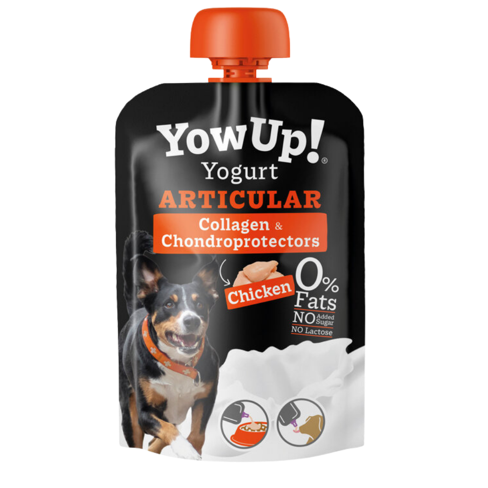 YOGHOURT