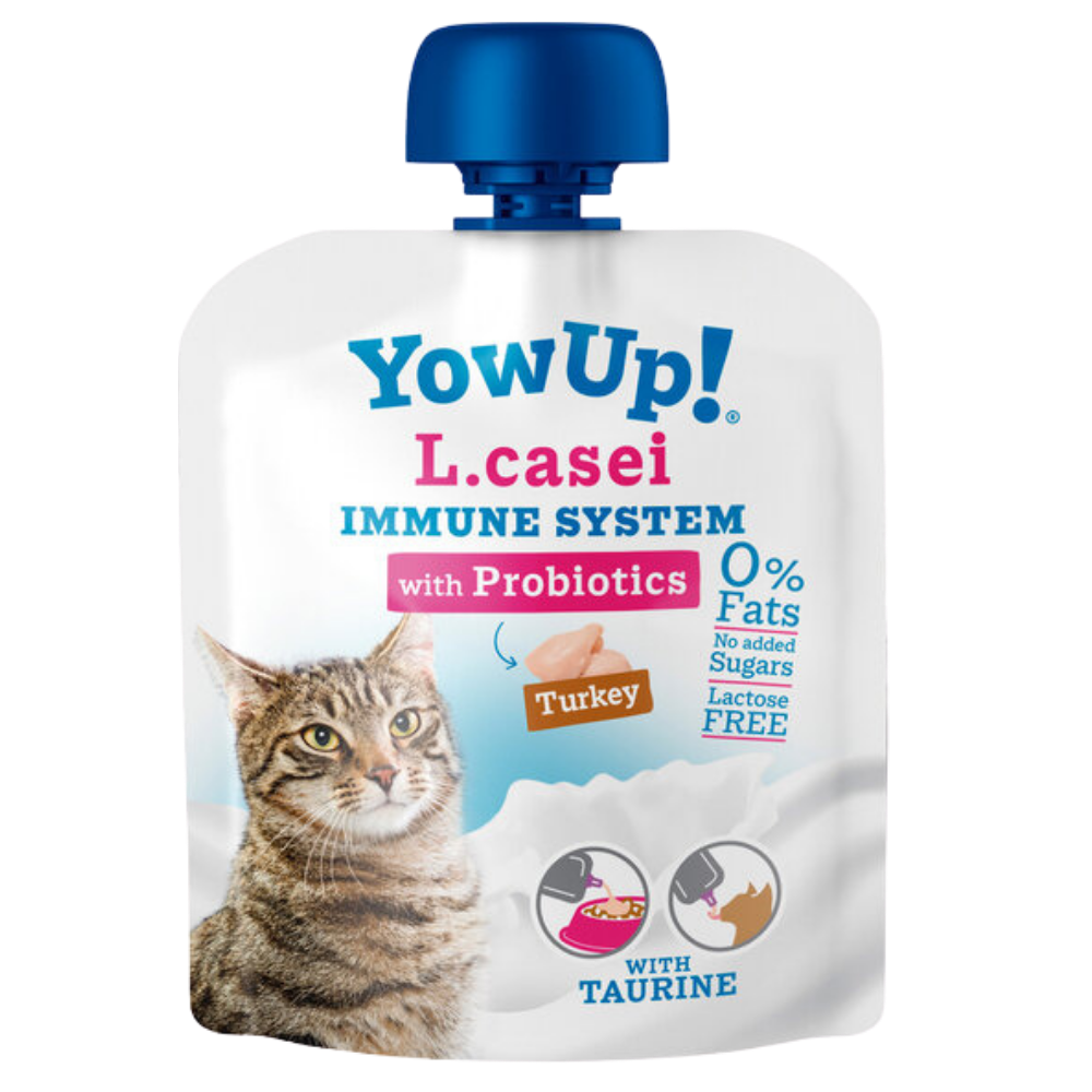 YOGHOURT