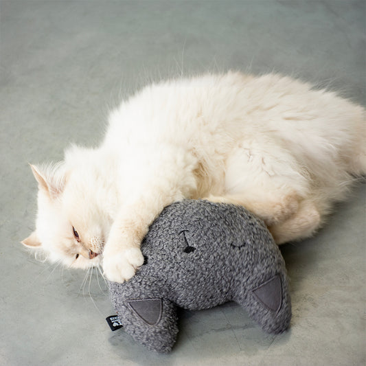 Jouet chat - Zoran