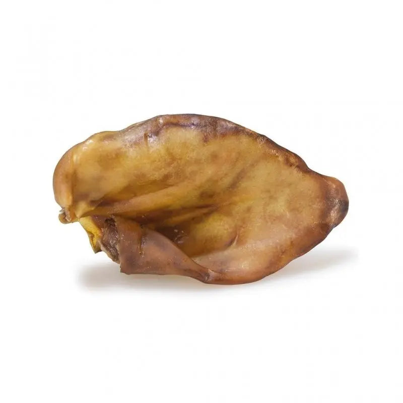 Oreille de porc