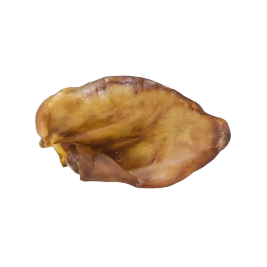 Oreille de porc