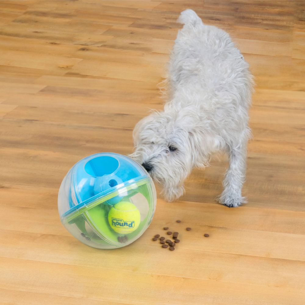 A-MAZE BALL MULTICOLORE - NIVEAU 2