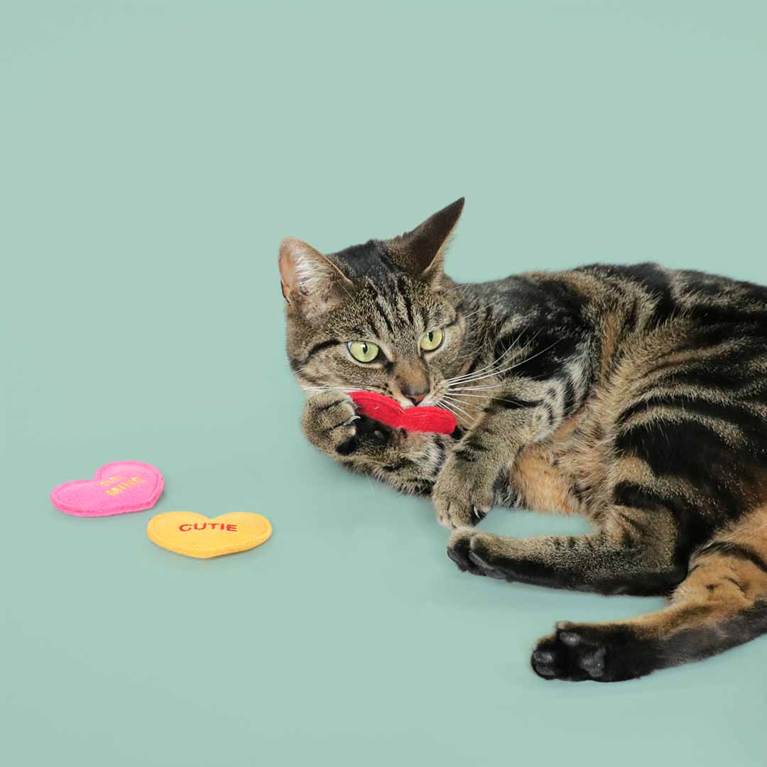 Jouet chat - coeur valériane X3