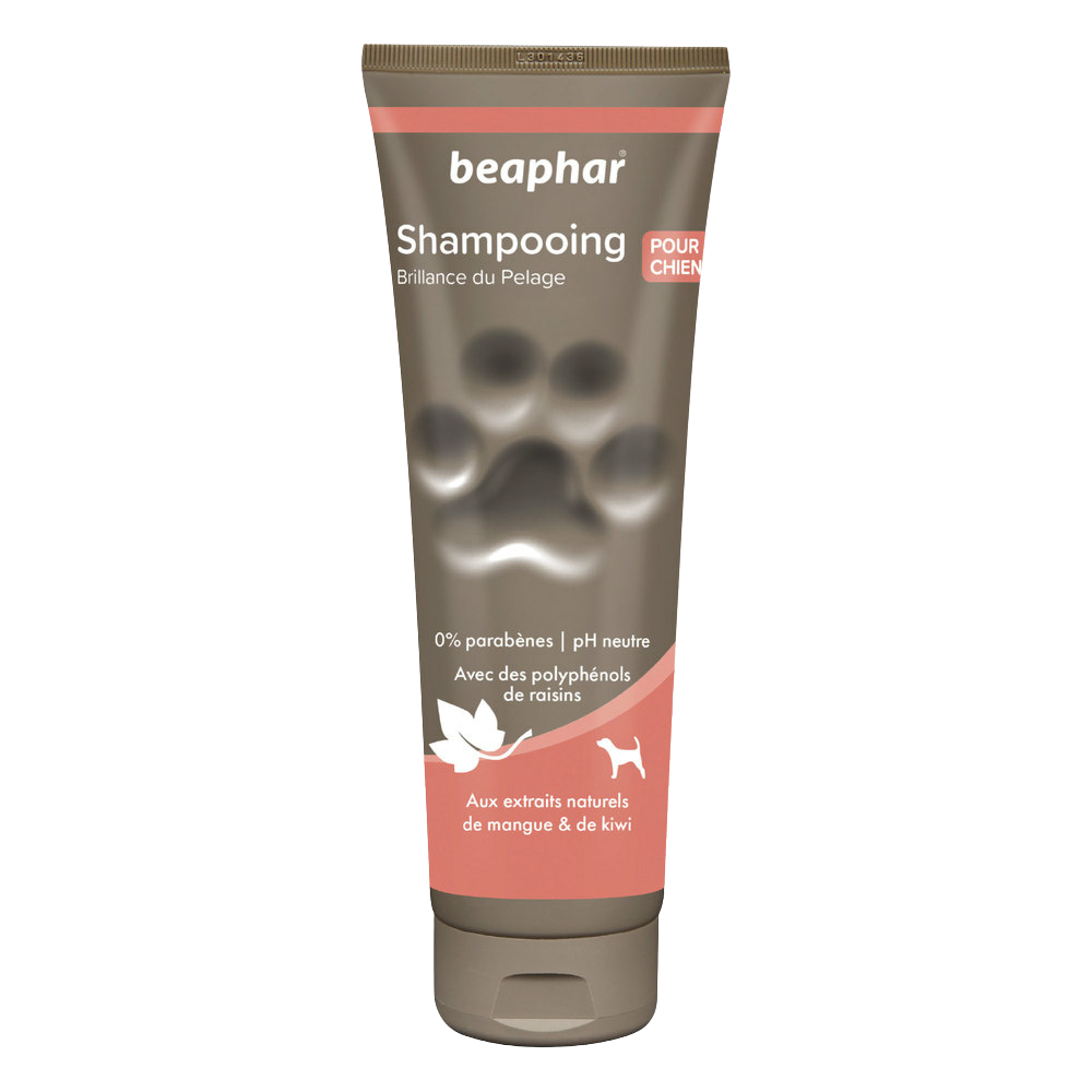 SHAMPOOING ECLAT DU PELACHE