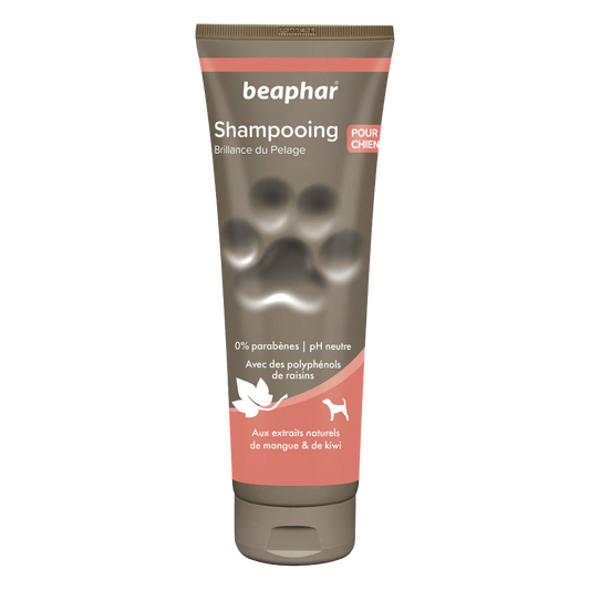 SHAMPOOING ECLAT DU PELACHE