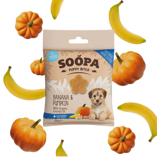 Friandises chien - chiots banane & citrouille