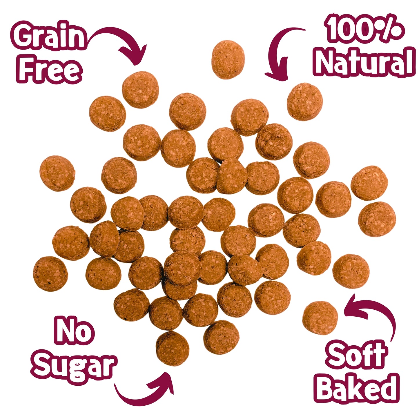 Friandises chien - Nibbles Saveur Bacon à l'Érable 80g