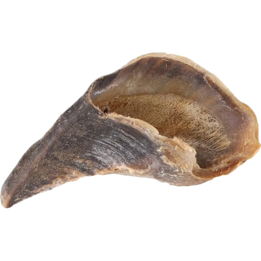 Sabot de vache