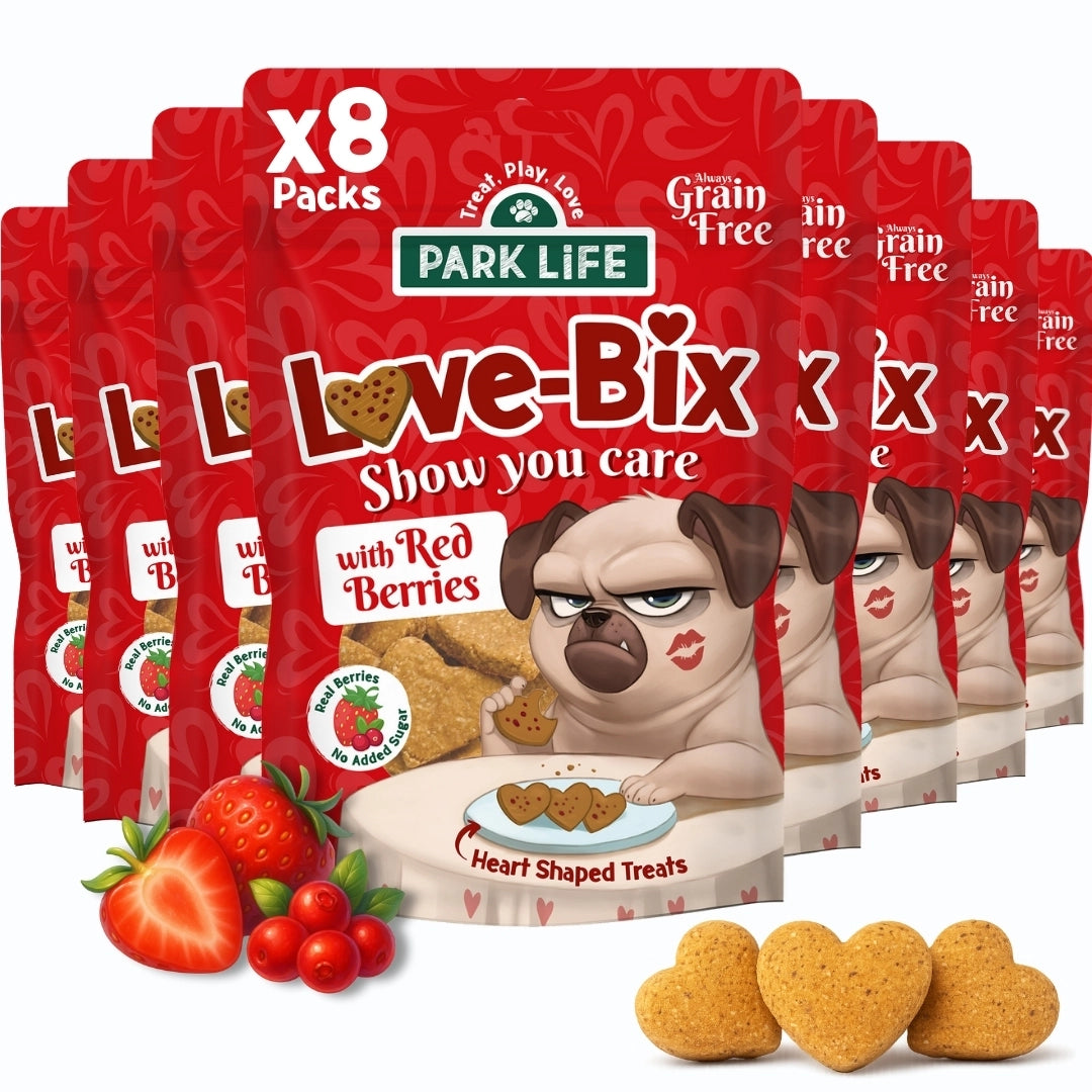 Friandises chien - love bix en forme de cœur fruits rouges 100 g