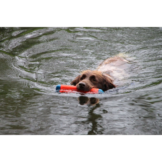 Jouet chien - Chuckit bumper